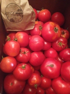 "Would you like some tomatoes?" Ella CSA asked me. "Yes," I replied. The next day I find 50 pounds of tomatoes on my porch.